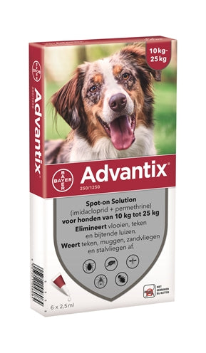 Bayer Advantix Spot auf