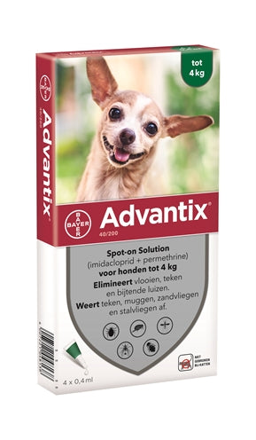 Bayer Advantix Spot auf