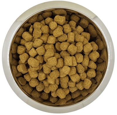YourDog Royal Pudel Senior