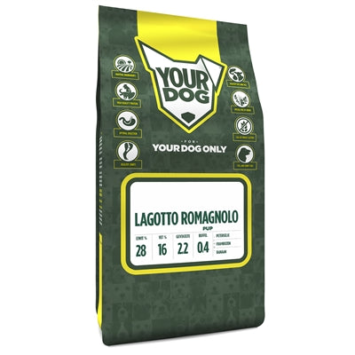 YourDog Lagotto Romagnolo Welpe