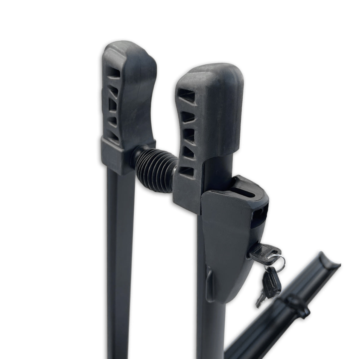 Luchsdachbike Träger
