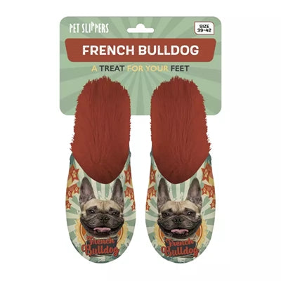 Slippel French Bulldog French Bulldog Oranje