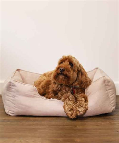 Rosenholz Rosenholz Hundkorb dünne Twill Beige