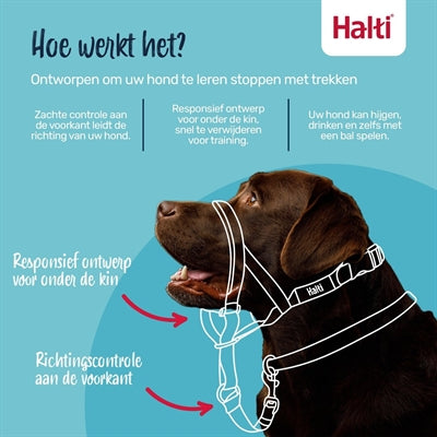 Die Firma der Tiere Kompanie der Tiere Halti Headcollar Black