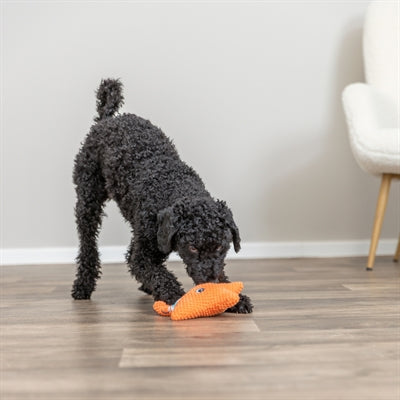 Trixie-Seestern mit orangefarbenem Zahnseideseil
