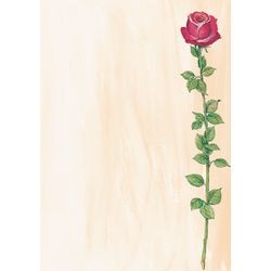Designpapier Sigel A4 90 g m² 25 Blatt Farbsortiment