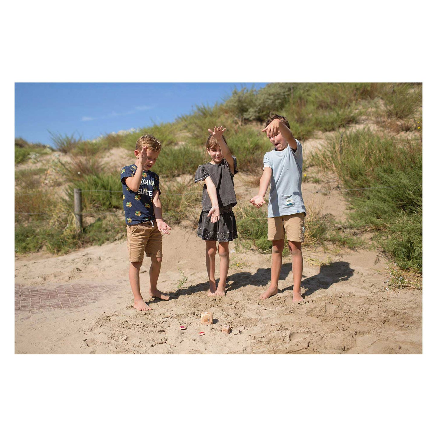 BS Toys Vögel in Action Hout Child Game