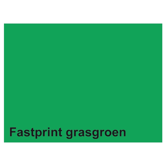 Quantore Kopierpapier Fastprint A4 160gr Grasgrün 50 Blatt