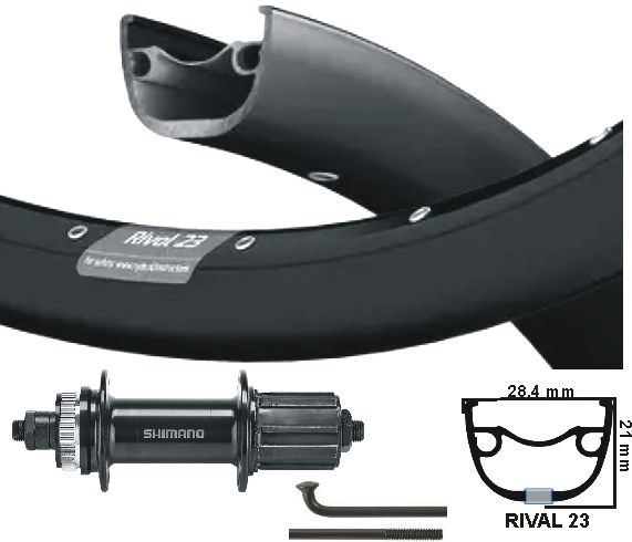 KGS Hinterrad 28 Zoll (622) ZAC Rivale + Spaak Zw Cass Centerl 8 9 Geschwindigkeit