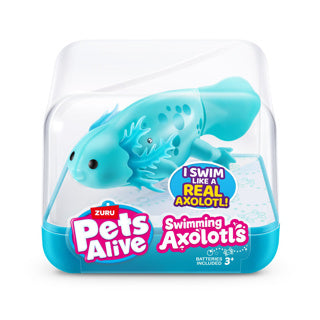 Haustiere lebendig Schwimmen Axolotl Assorti