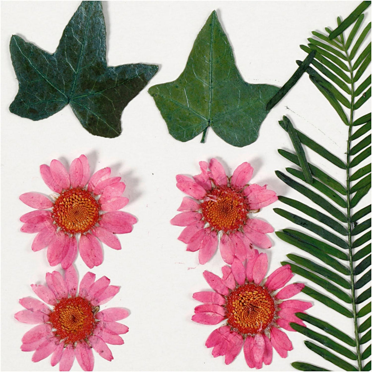 Getrocknete Blüten und Blätter hellrot, 19dlg.