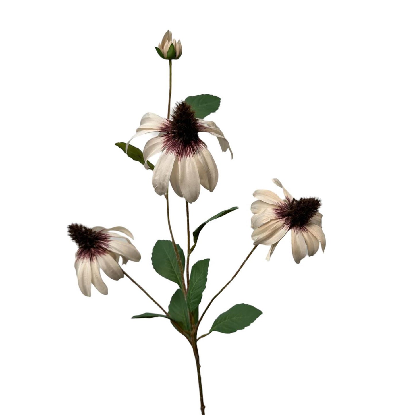 Roberts Collection Kunstblume Rudbeckia 83 cm cremefarben