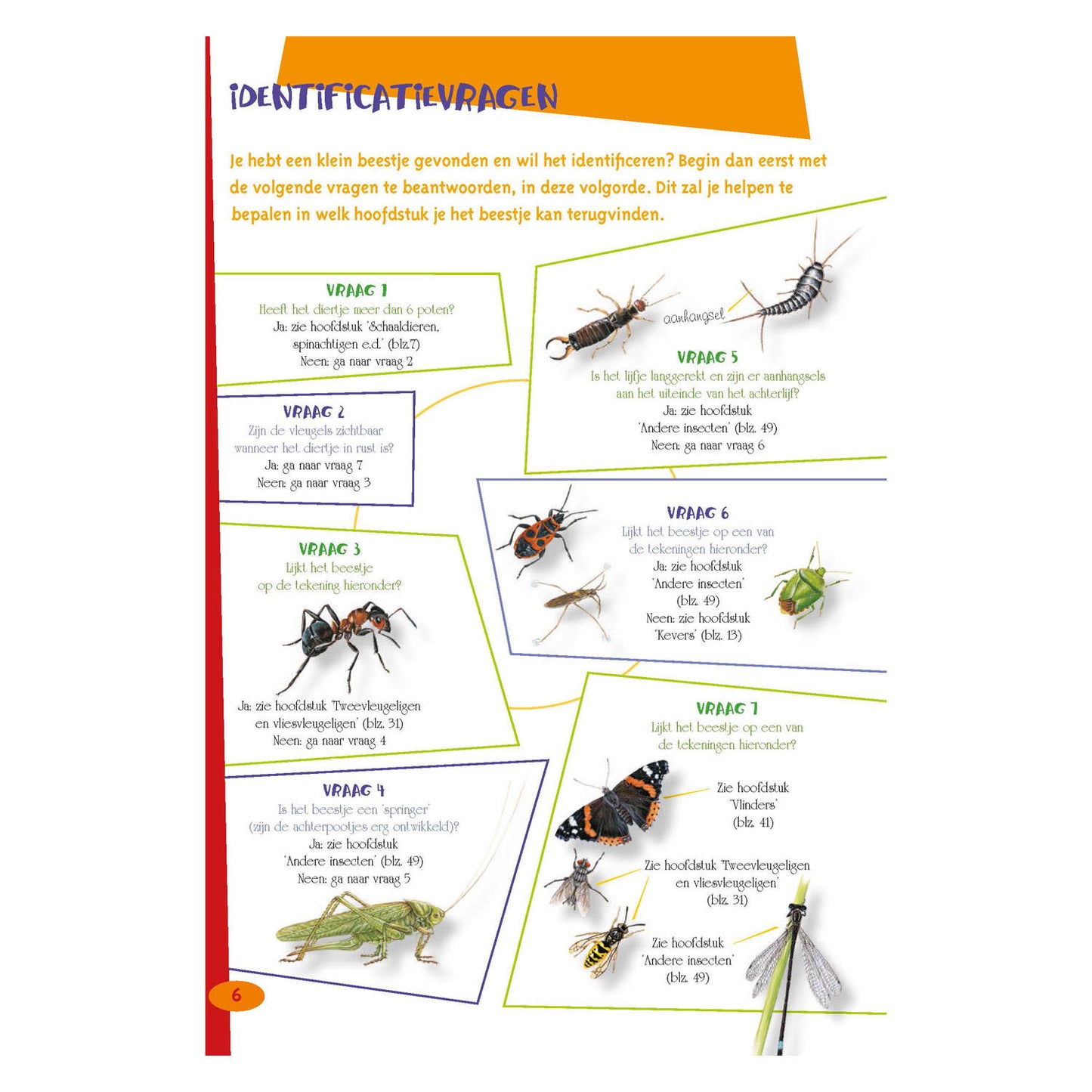 Der beste Insektenführer für Kinder