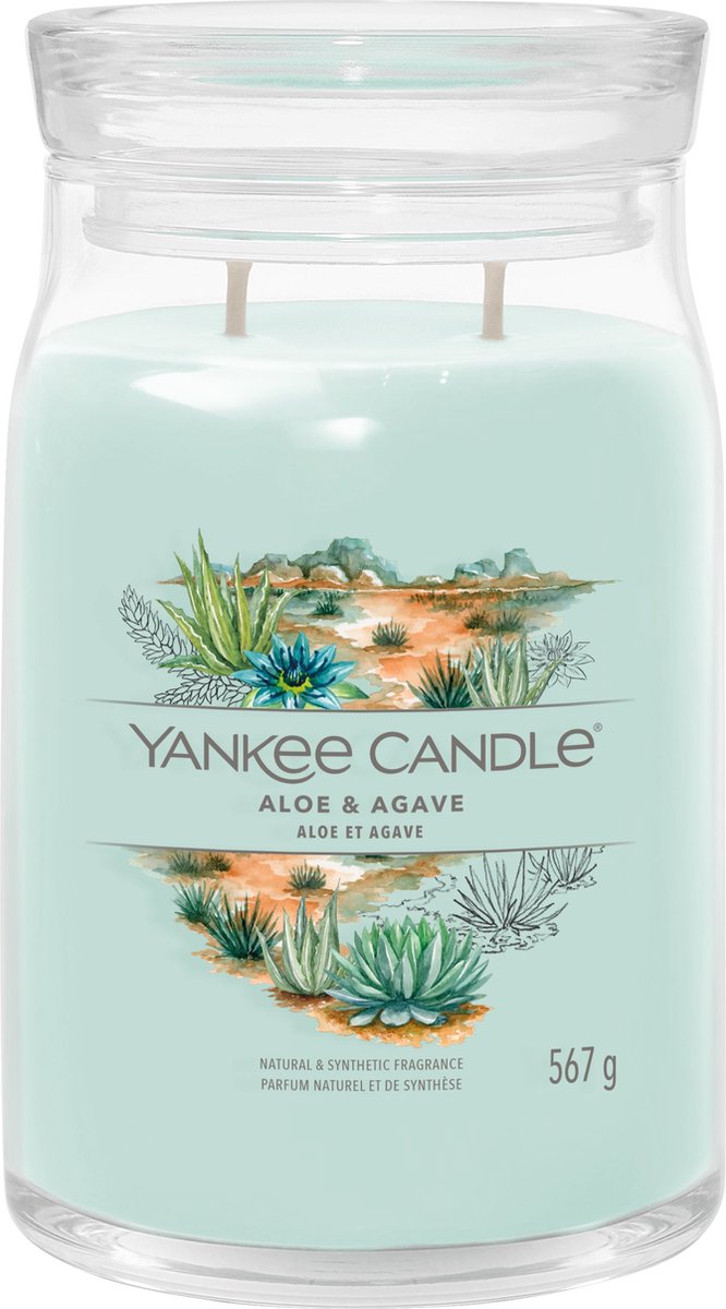 Yankee Candle – Duftkerze im großen Glas mit Aloe-Agave – 90 Brennstunden – zwei Dochte