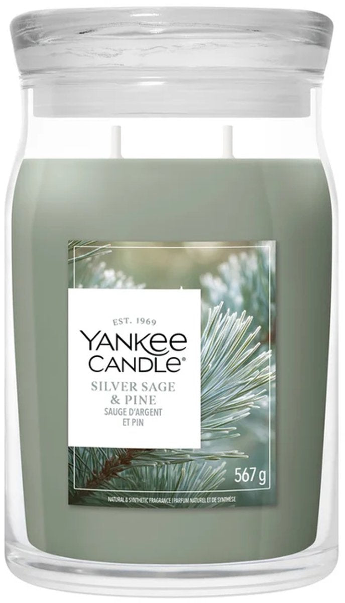Yankee Candle – Duftkerze im großen Glas aus silberner Salbeikiefer – 90 Brennstunden – zwei Dochte