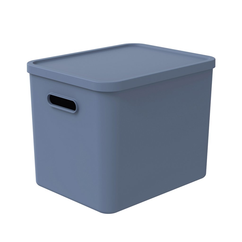 Rotho Albula Multibox 29,5x29x37 cm 27l Horizontblau