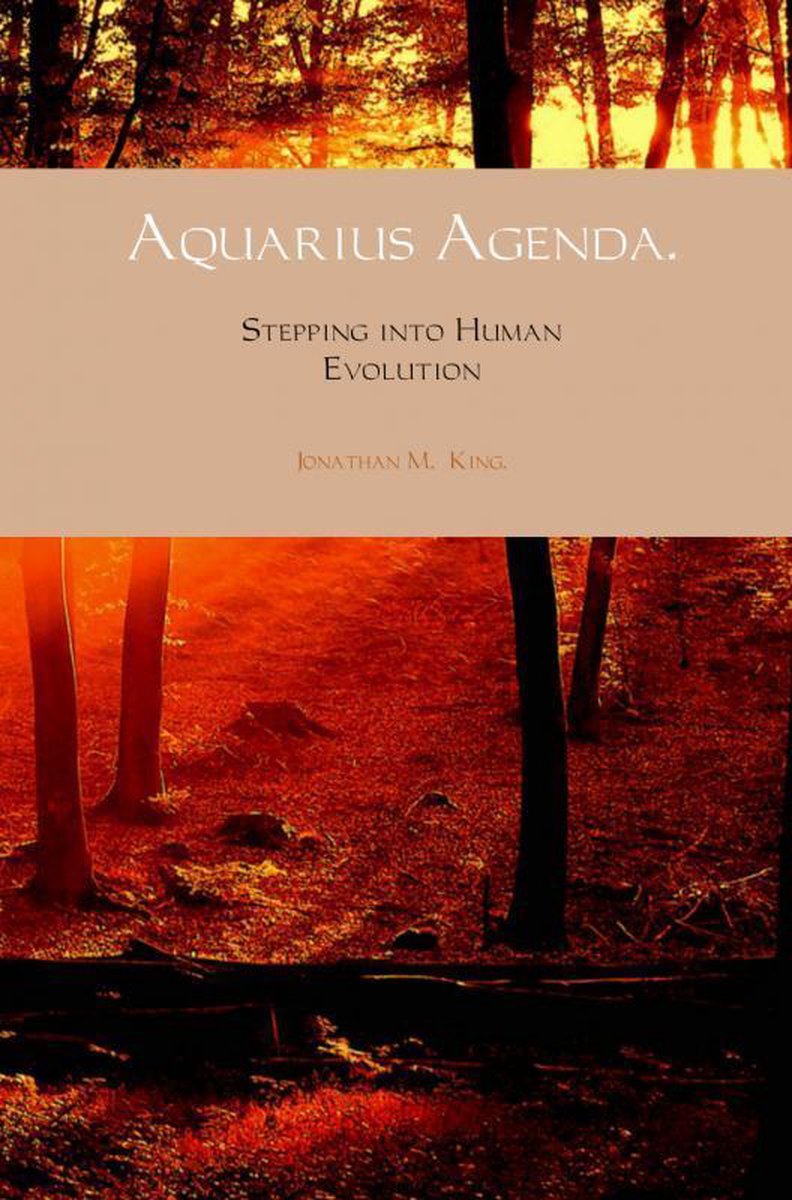 Markenlose Wassermann-Agenda ohne Marke