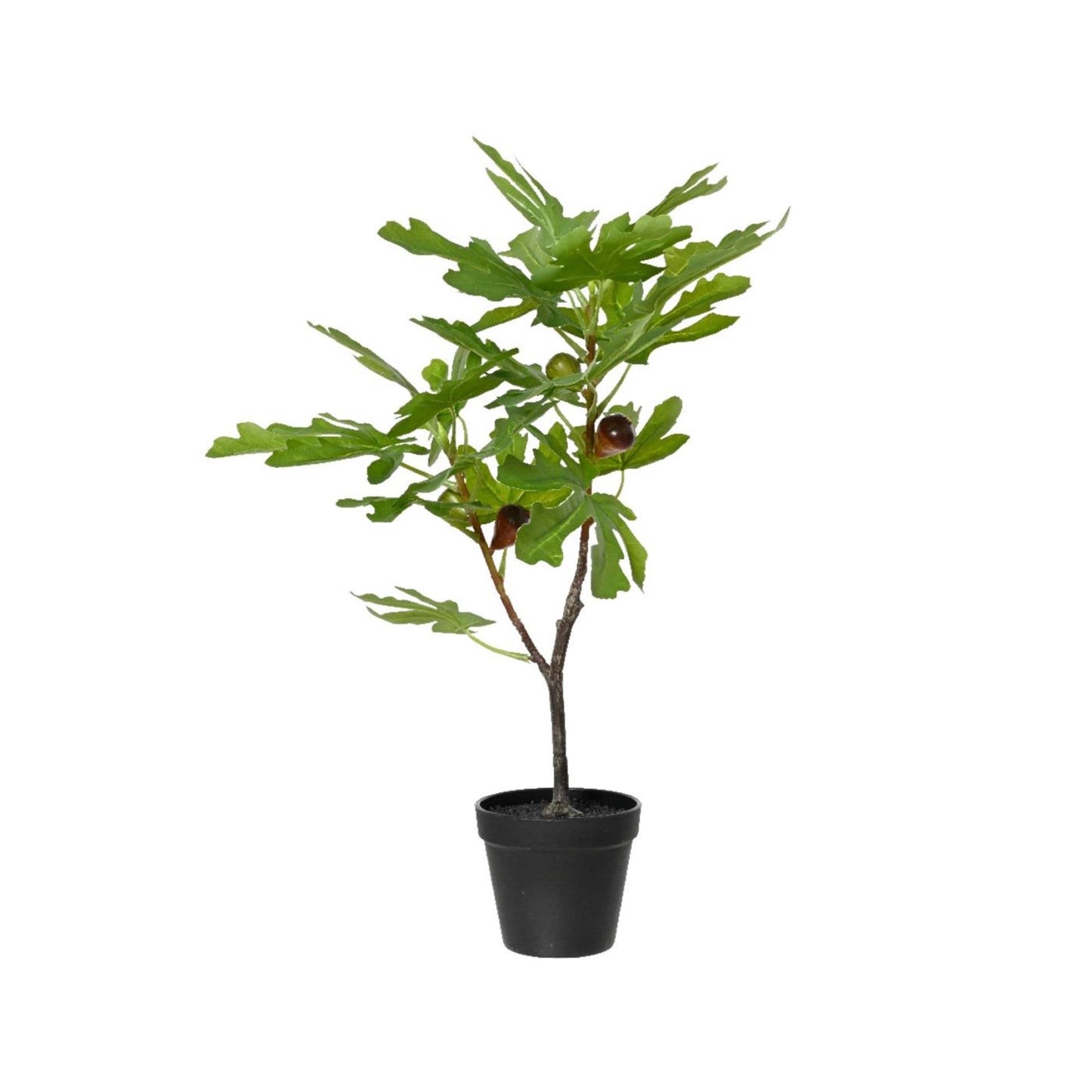 Decoris Feigenbaum im Topf 40x35xh60cm