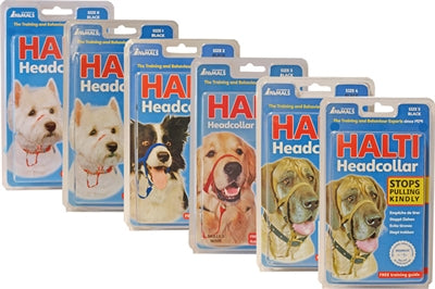 Die Firma der Tiere Kompanie der Tiere Halti Headcollar Black