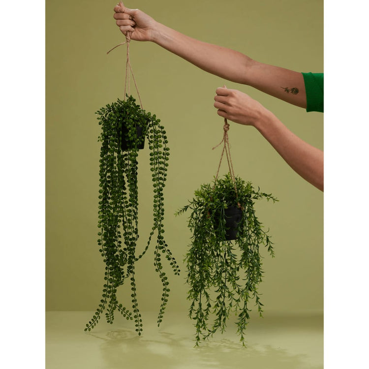 Emerald Smaragdkunstpflanze im Topf Ficus pumila 60 cm hängen