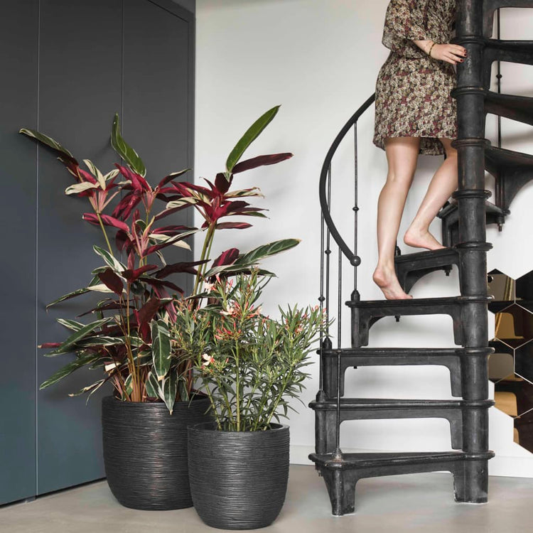 Capi Capi Flowerpot Natur Rib 35x34 cm Schwarz KBLR932
