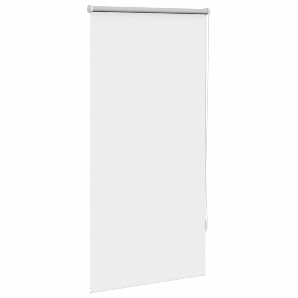 Vidaxl Roller Blind verdämmen 60 x 120 cm Weiß