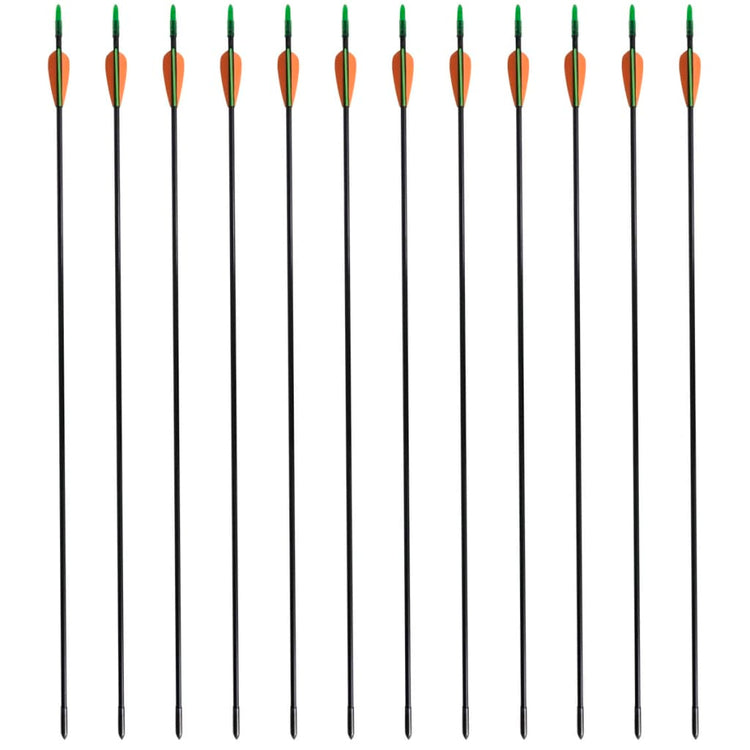 Vidaxl Recurveboog Standard mit Pfeilen 30 0,6 cm Faser 12 Teile