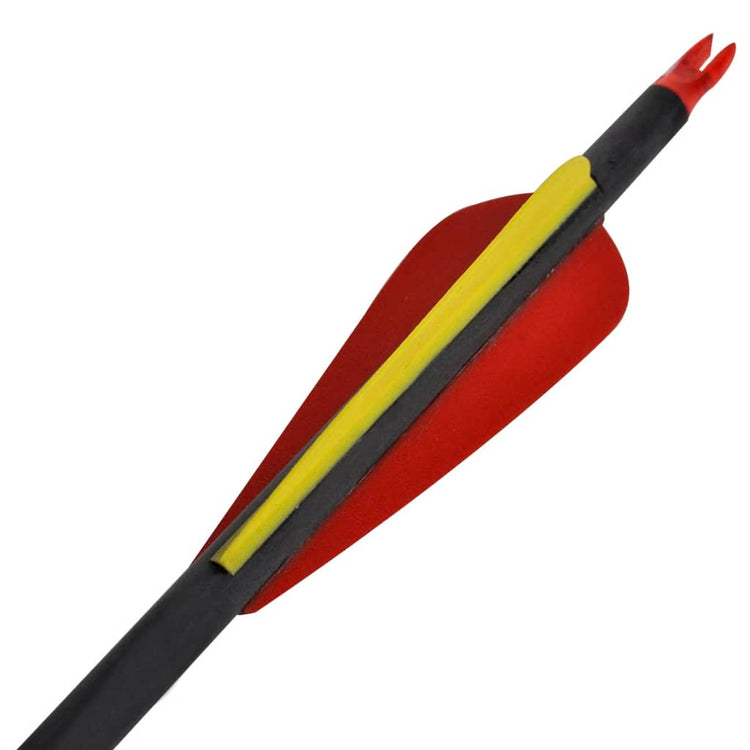 Vidaxl -Pfeile für Recurvebog Standard 30 0,76 cm Kohlenstoff 12 Teile