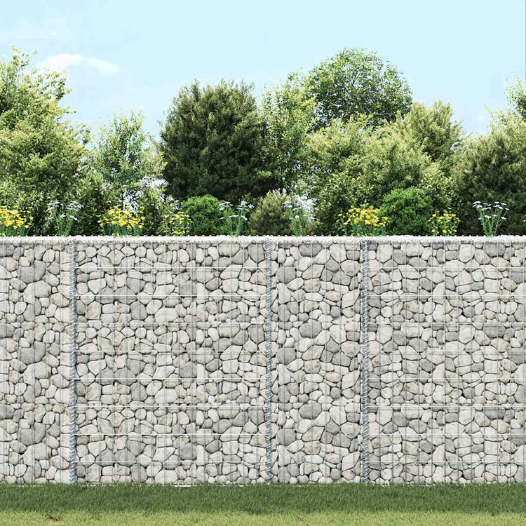 Vidaxl Gabion Planning Bucks Trapez 80x20x100 cm verzinkter Stahl