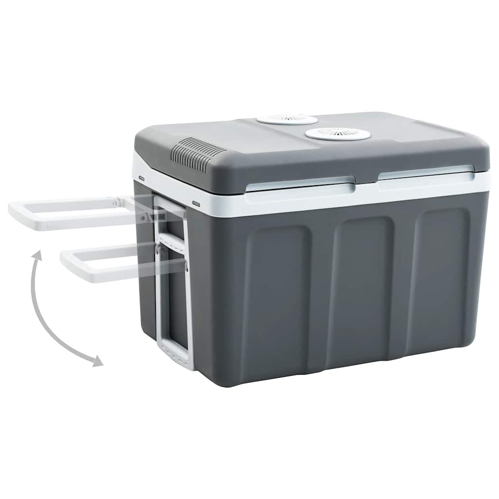 Vidaxl Cool Box Thermoelektrisch tragbar 12 V 230 V E 40 l