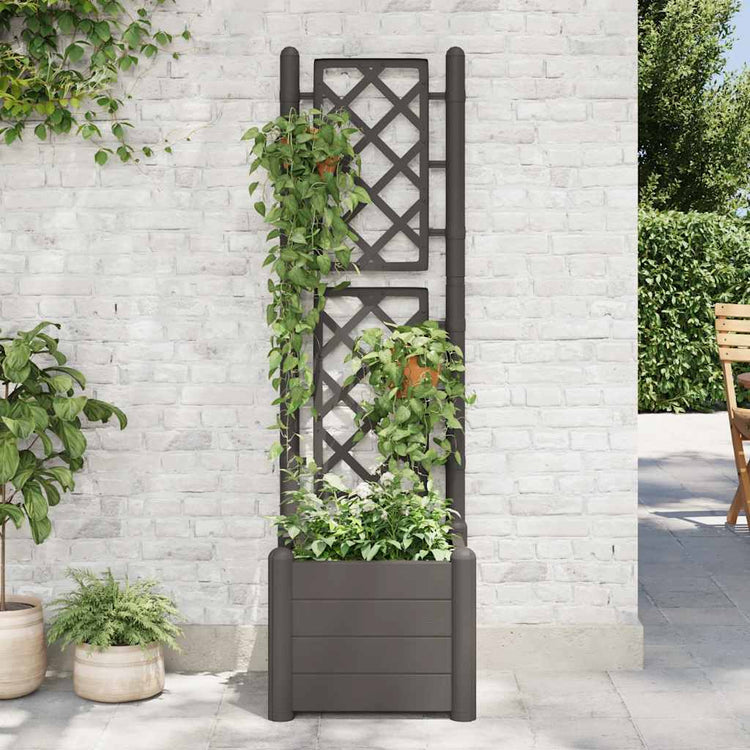 VIDAXL -Plannet mit SLAT -Arbeit 43x43x142 cm PP Anthrazit -gelöscht