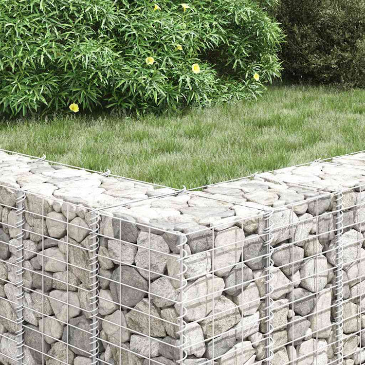 Vidaxl Schanskorf Pflanzer 4 ST 30x30x50 100 150 200 cm Eisen