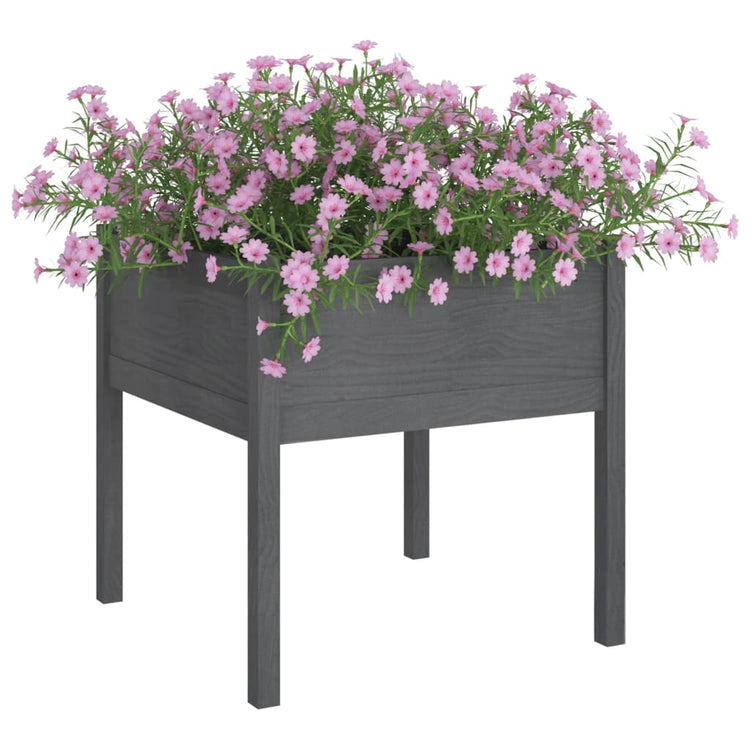 VIDAXL -Pflanzer 2 ST 70x70x70 cm Festkiefergrau