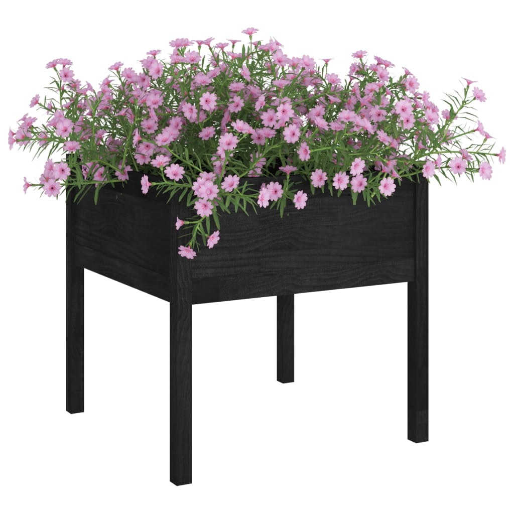 VIDAXL -Pflanzer 2 ST 70x70x70 cm Festkiefer schwarz