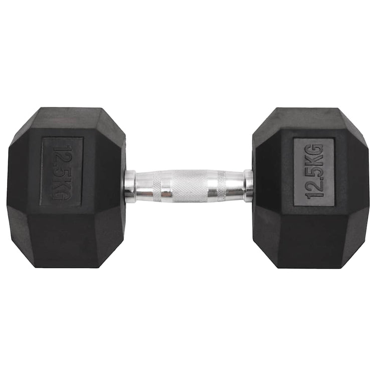 Vidaxl Halter 2 St 25 kg Gusseisen