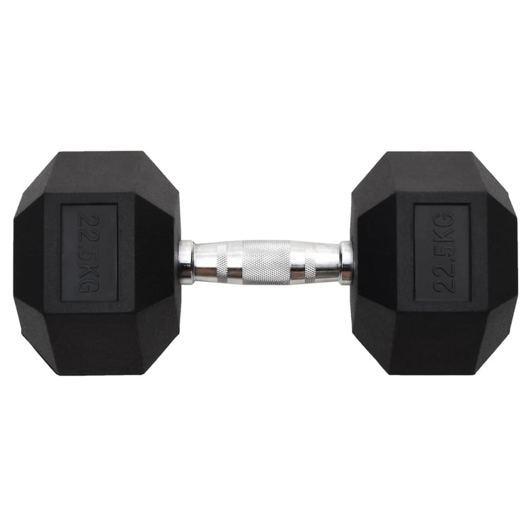 Vidaxl -Halter 22,5 kg Gusseisen