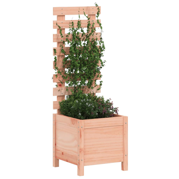VIDAXL -Planungsbox mit Rack 39x39.5x114 cm Solid Douglashout