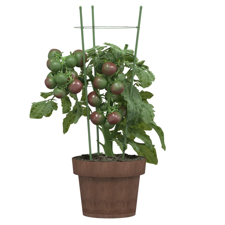 Vidaxl Plantrests 5 ST mit 3 Ringen 45 cm Stahlgrün