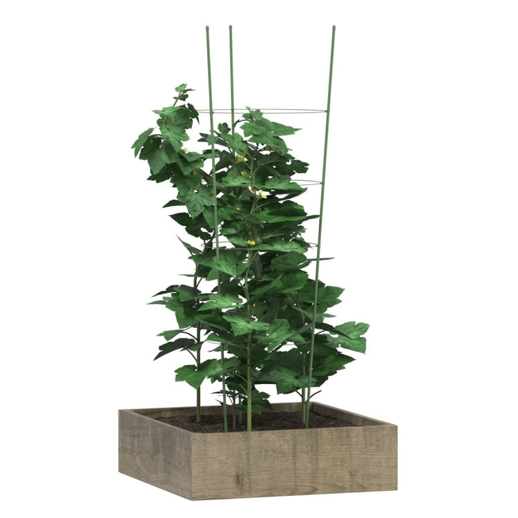 Vidaxl Plantrests 5 ST mit 4 Ringen 90 cm Stahlgrün