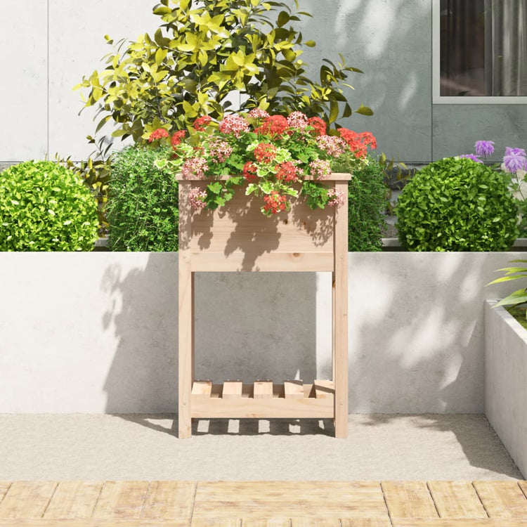 VIDAXL -Pflanzer mit Regal 54x34.5x81 cm Festkiefer