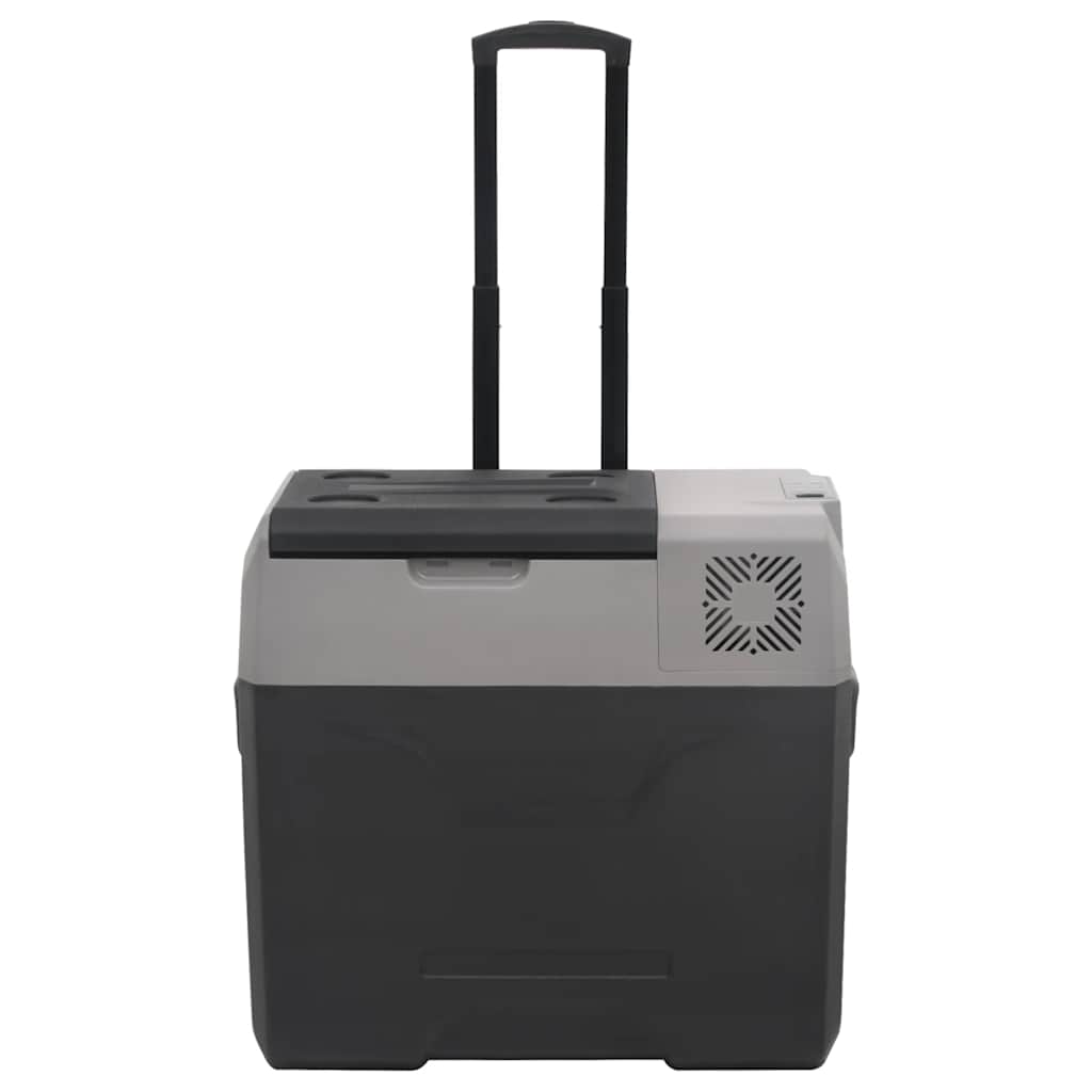 Vidaxl Cool Box mit Rädern und 40 l Polypropen schwarz und grau
