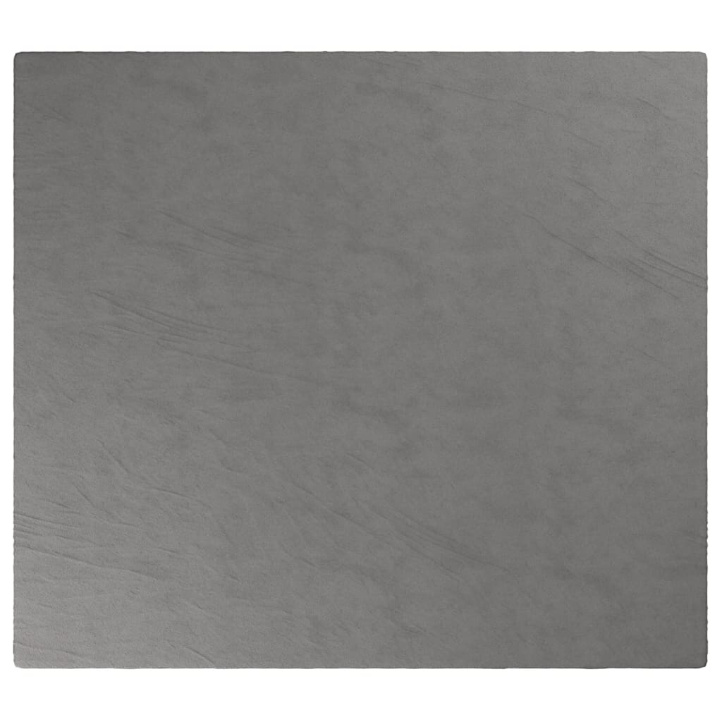 Vidaxl schwachende Decke mit Abdeckung 200x220 cm 13 kg Stoff grau