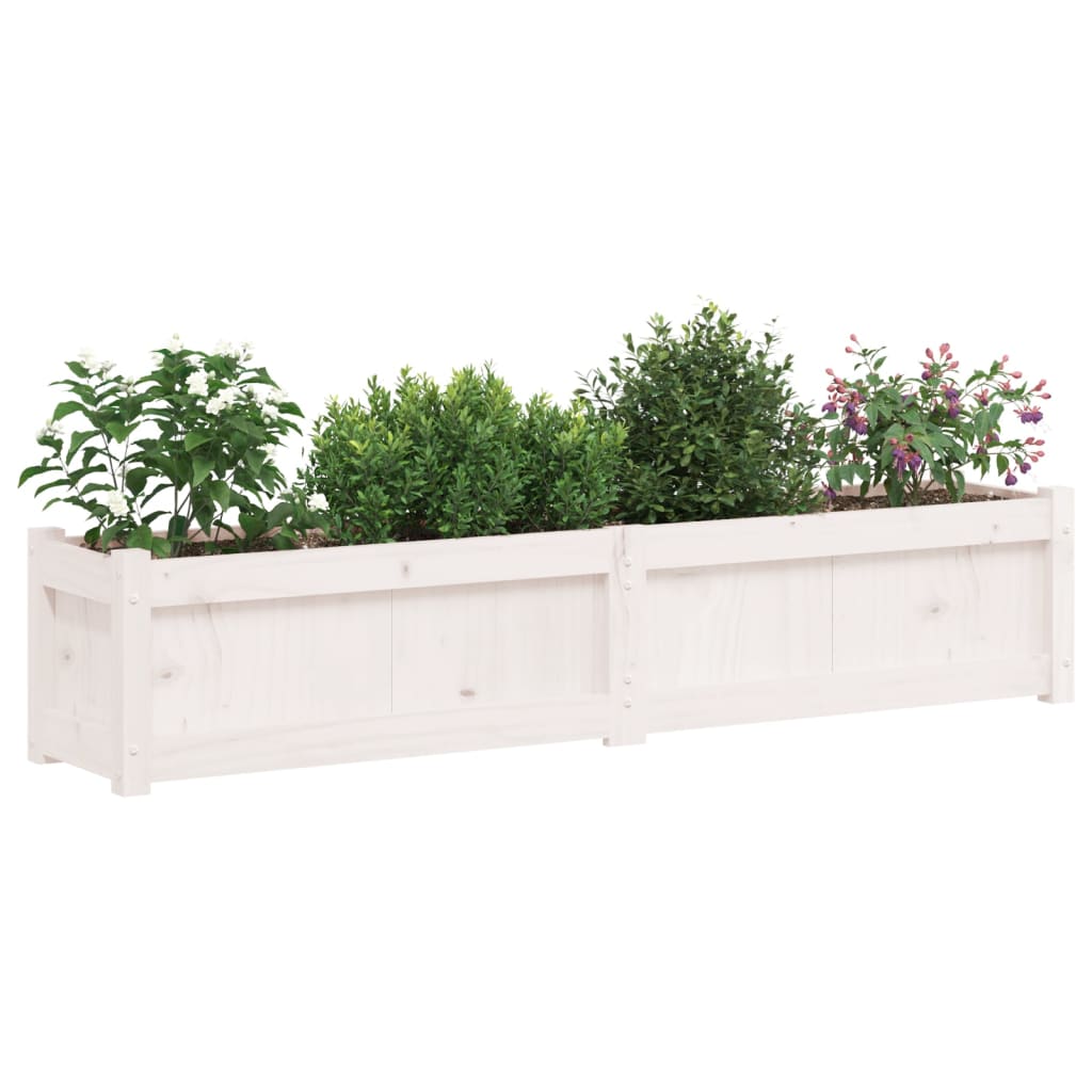 Vidaxl -Pflanzer 2 PC CM Festkiefer weiß
