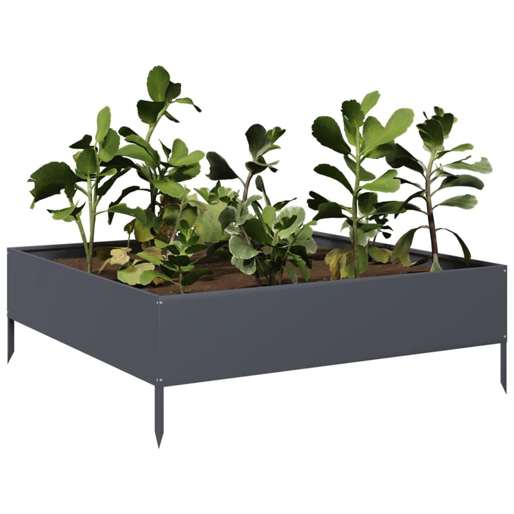 VIDAXL -Pflanzer vermehrte 100x100x33,5 cm Stahl Anthrazit -geläutet
