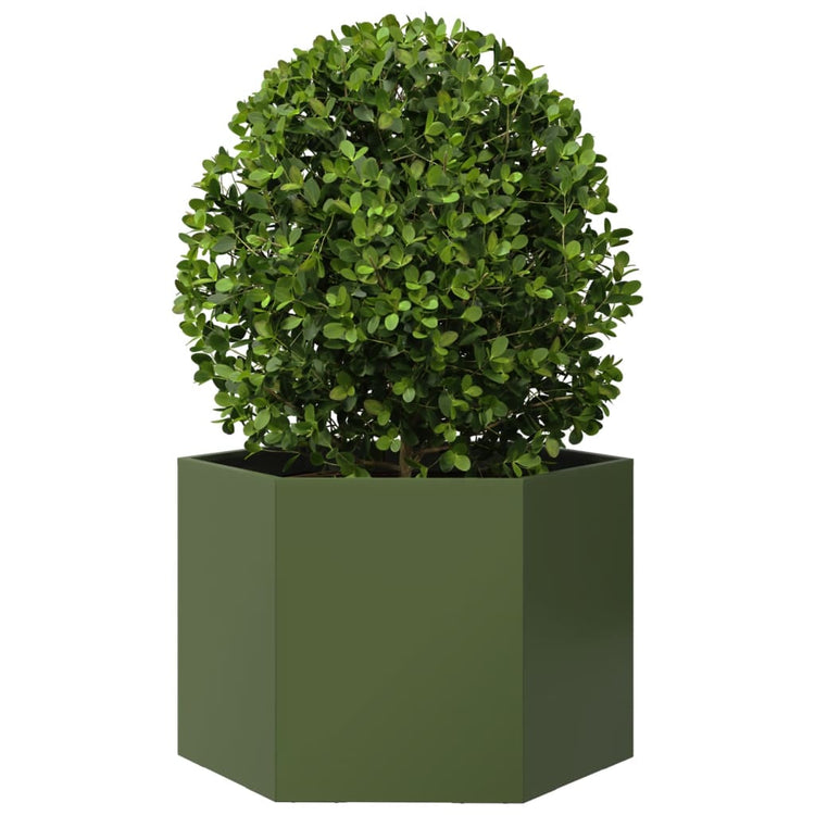 Vidaxl Plannet Hexagon 69x60x45 cm Stahl Olivengrün