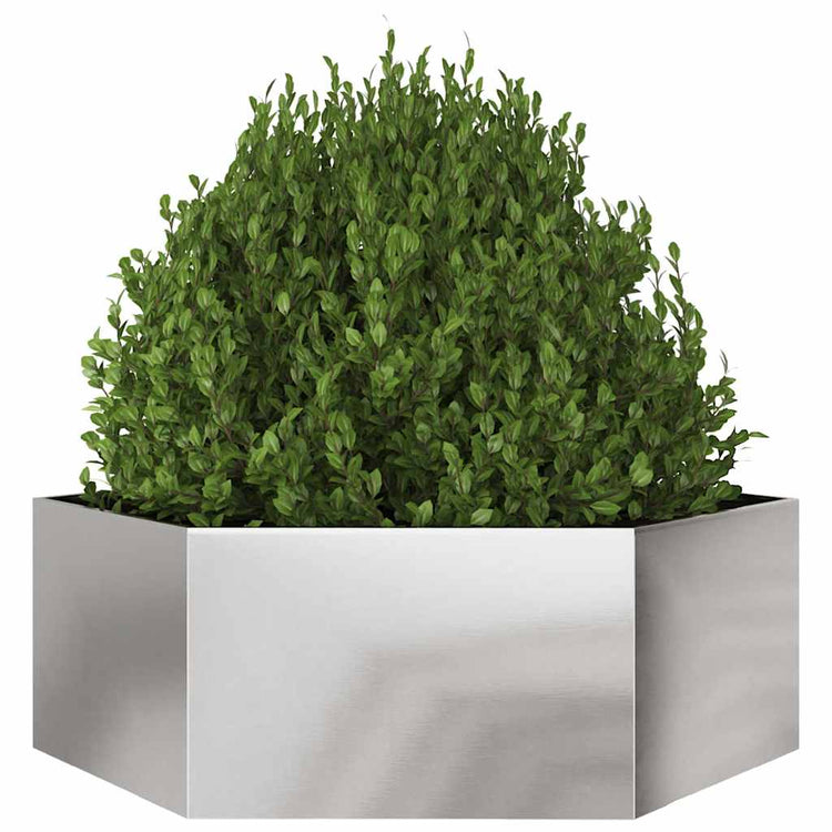 VIDAXL -Pflanzer Bennet Hexagon 138x120x45 cm Edelstahl