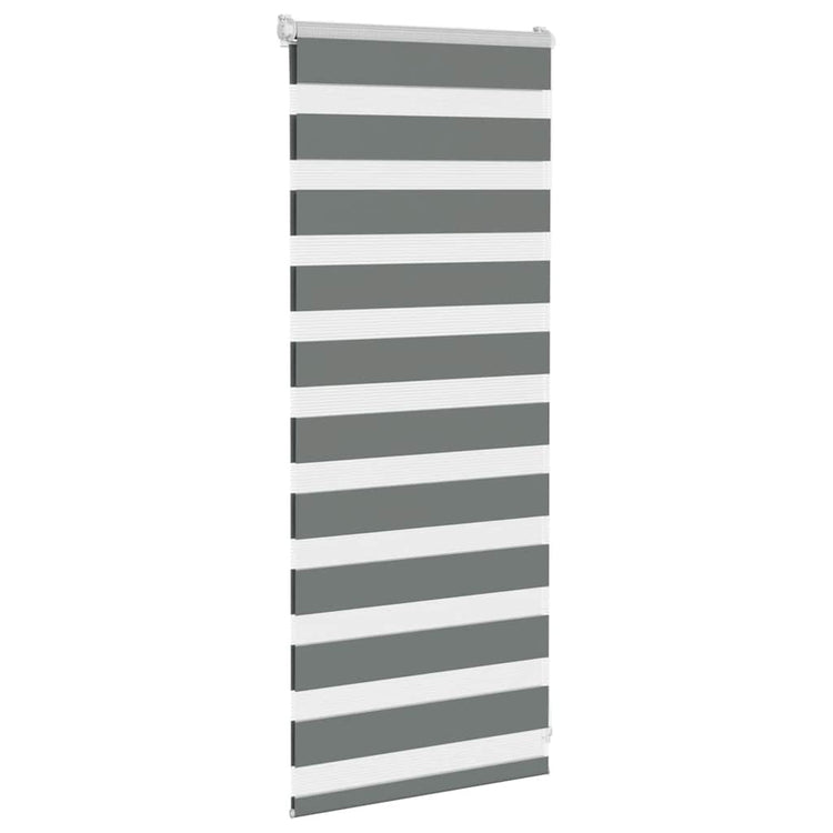 Vidaxl Zebra Roller Blind 60x100 cm Staubbreite dunkelgrau 55,9 cm