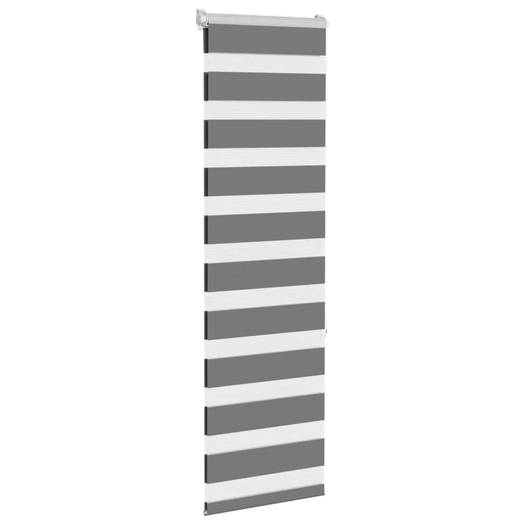 Vidaxl Zebra Roller Blind 50x150 cm Stoffbreite 45,9 cm dunkelgrau