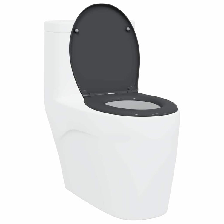 Vidaxl WC-Sitz Anthrazit 47 x 37 x 4 cm Duroplast