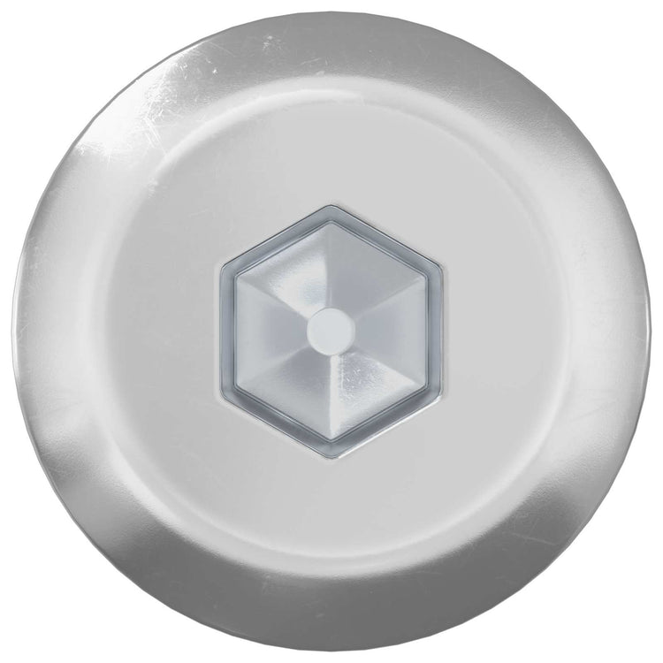 Vidaxxl Möbelschrauben 12 Stück Silber M6 x 120 mm Stahl